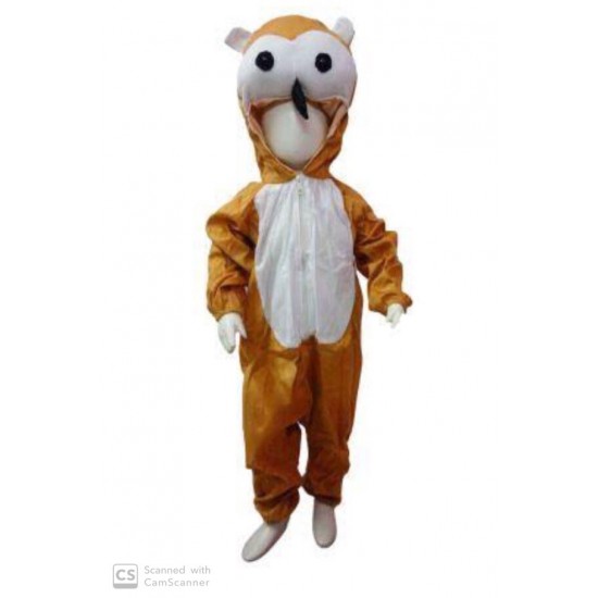 Owl Fancy Dress