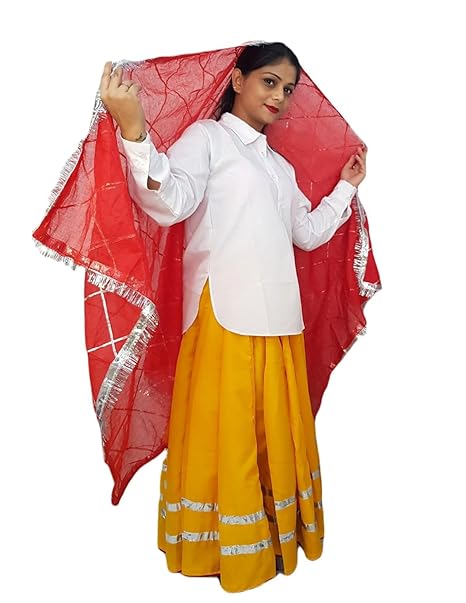 BookMyCostume Haryana State Traditional Thel Costume for Girls and Women 5-6 years - Image 4