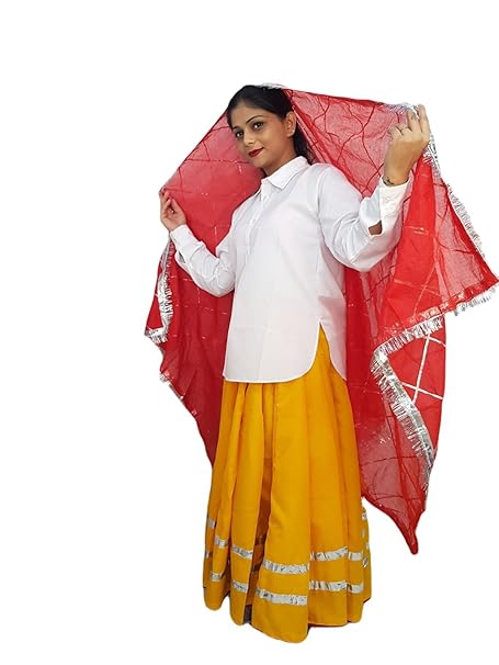 BookMyCostume Haryana State Traditional Thel Costume for Girls and Women 5-6 years - Image 3